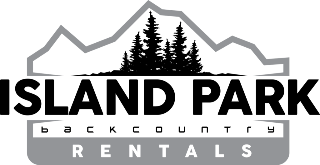 Used Snowmobiles for Sale Island Park Backcountry Rentals